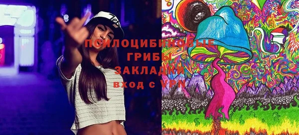 сатива Алексеевка