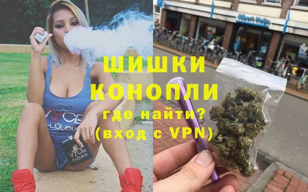 сатива Алексеевка
