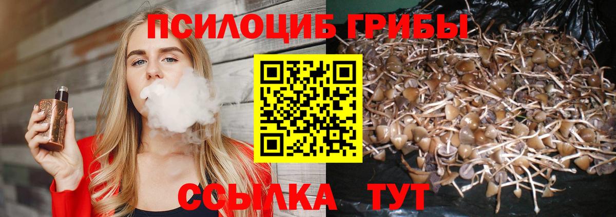 Псилоцибиновые грибы GOLDEN TEACHER  Вход с VPN  Ярцево  Псилоцибиновые грибы GOLDEN TEACHER 